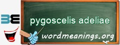 WordMeaning blackboard for pygoscelis adeliae